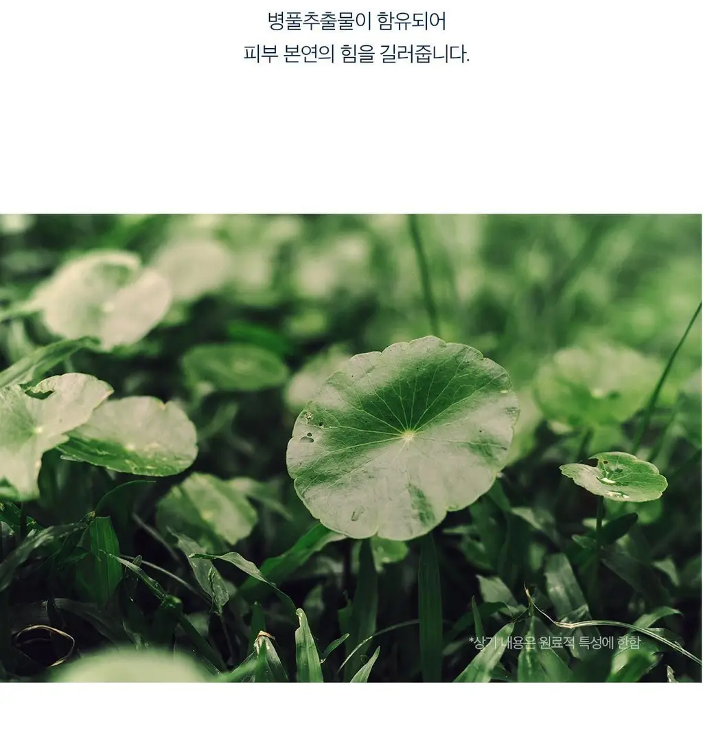 [수분 선크림][누적판매1700만개]스킨1004 마다가스카르 센텔라 히알루-시카 워터핏 선세럼 50ml 상세페이지 12